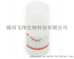 飛凈 Phygene Western封閉液（BSA）