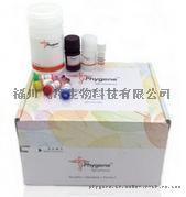 飛凈 Phygene 無內(nèi)毒素質(zhì)粒大量提取試劑盒 EndoFree Plasmid Maxi Kit